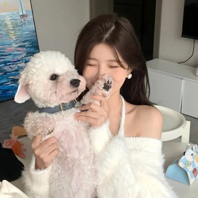 森林泰山2