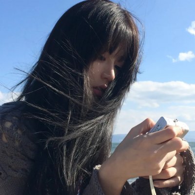 鸽之翼